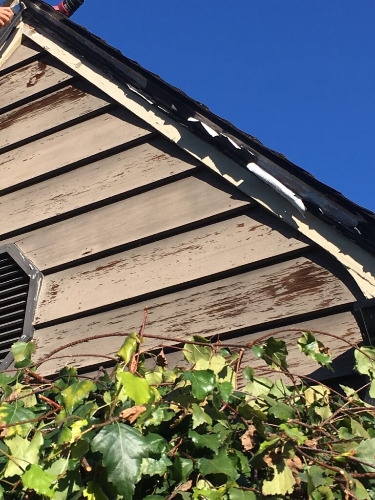 This picture shows fascia board with paint that is peeling off in large flakes. 